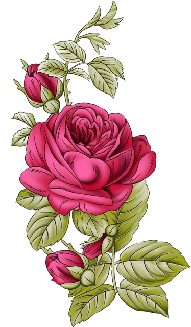 5cbb8e244e6a9f31a8867d6284ef1688.png