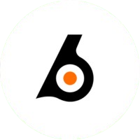 Birdeye