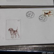 IMG-2674