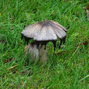 DSC00012