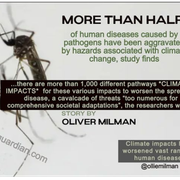 diseaseandtheclimatecrisis