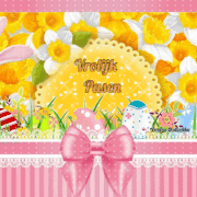 4.gif