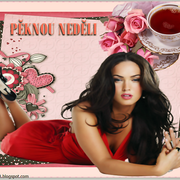 P-KNOU-NED-LI