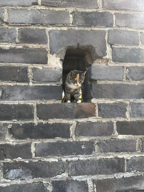 Mutianyu03.jpg
