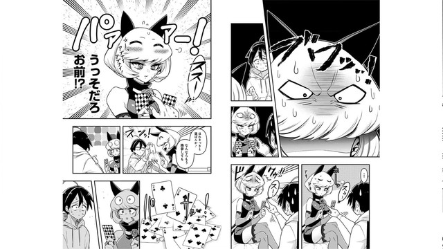 DLRAW-NET-012