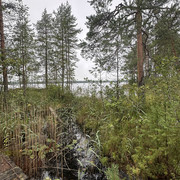 IMG 4653