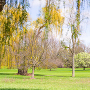 DSC09755