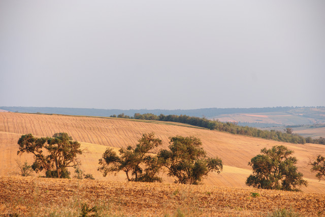DSCF0379.jpg