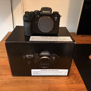 IMG 1964