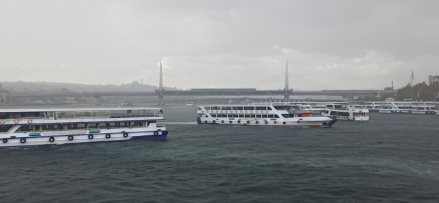 IMG 20261002 162257.jpg