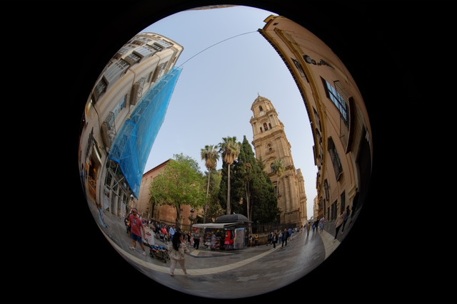 DSCF8940.jpg