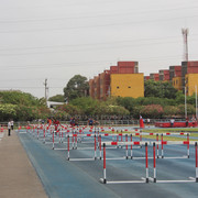 IMG-0015