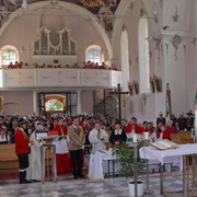 IMG 3761