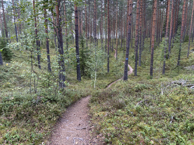 maasto4.jpg