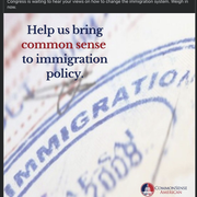 Common Sense Immigration Policy
