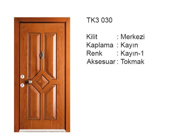 Steel door TK3 030