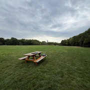IMG-1543