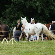 DSC04986