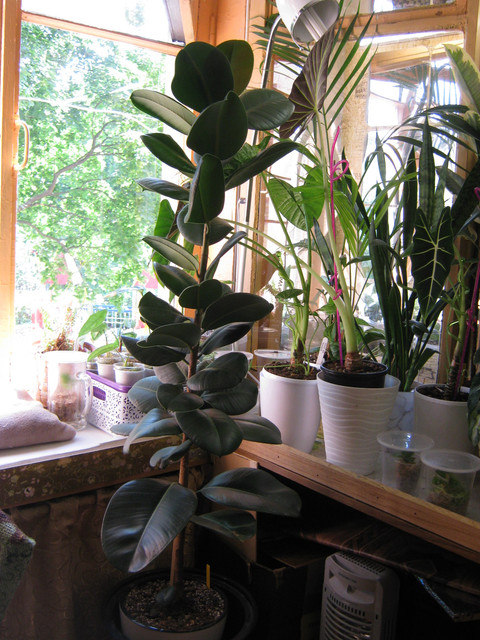 IMG 6440.jpg
