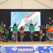 IMG 8194
