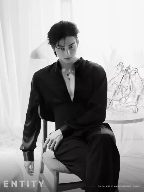 cha eun woo 1315004