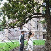 IMG 4252