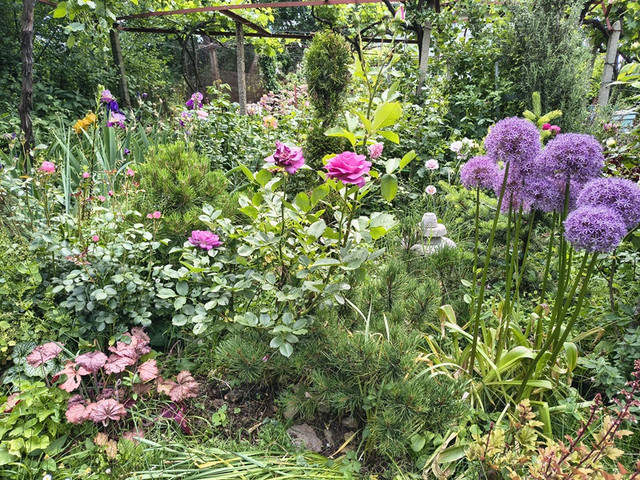 garden.jpg