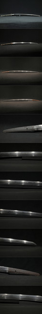 DSC4548