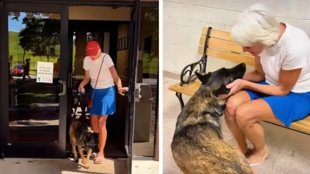 Dog Finds Veteran, New Life After Shelter Surrender