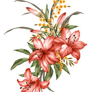 shutterstock 260428766