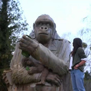 IMG 1117
