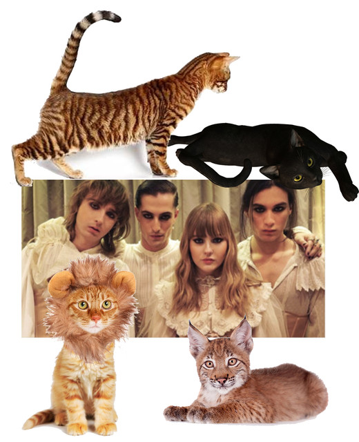 cats.jpg