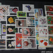 IMG-2582