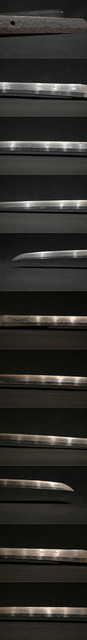 DSC2270.jpg