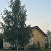 IMG 5496