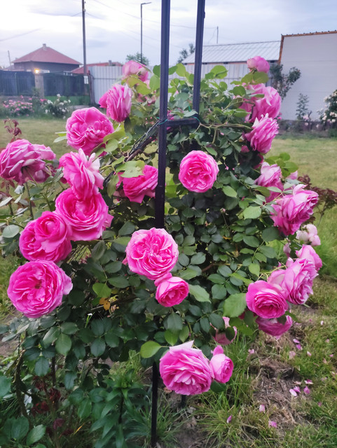 IMG 20260530 211337