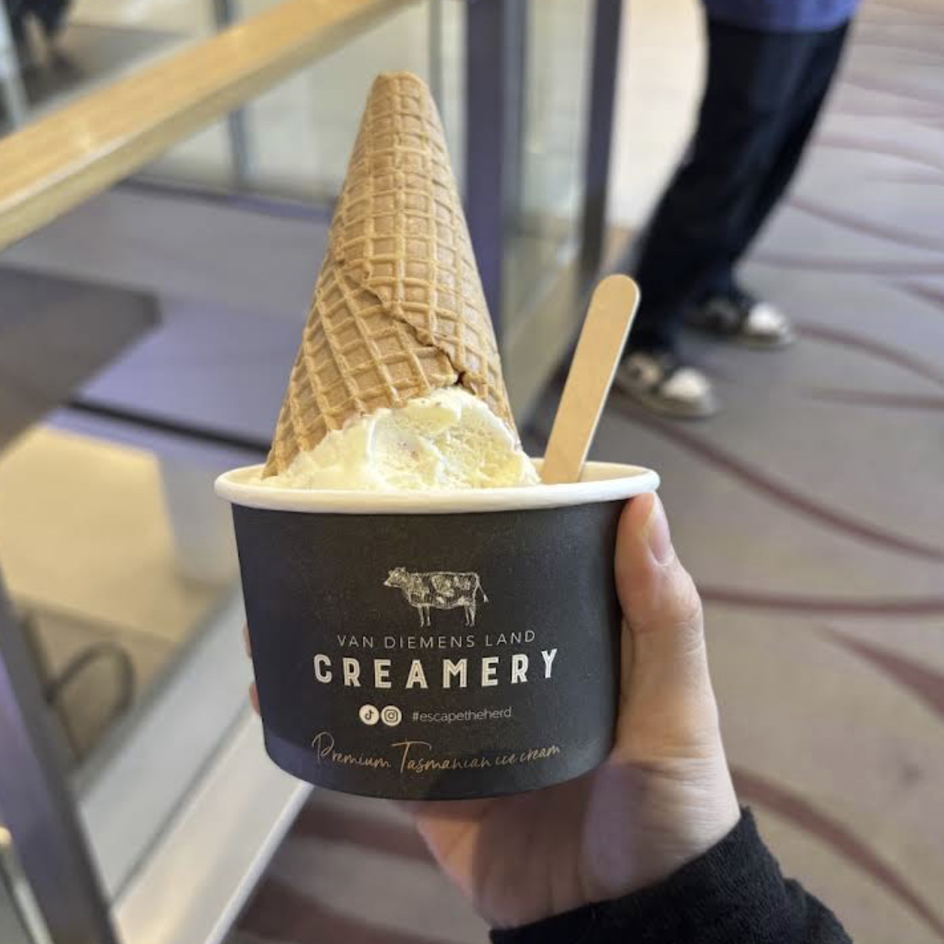 Van Diemens Land Creamery ice cream shop at 313@Somerset