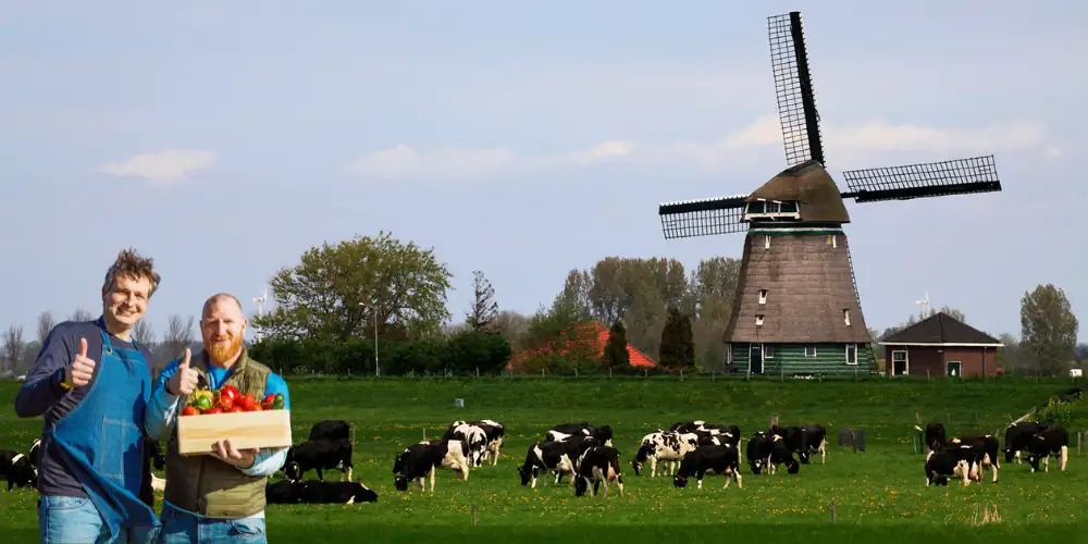 Carnivoor dieet - Boer met zijn runderen in een groene weide in Utrecht. - www.VleesKopenbijdeBoer.nl
