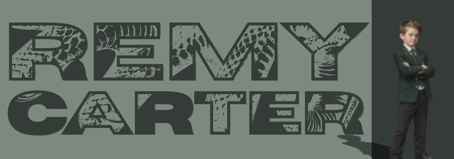 R E M Y (1).png