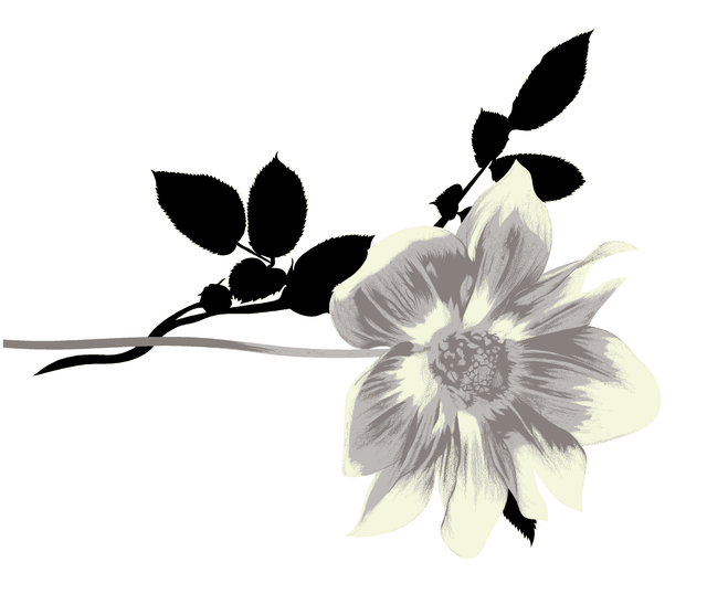 578-copy.png