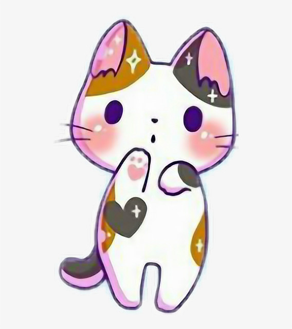 kitty