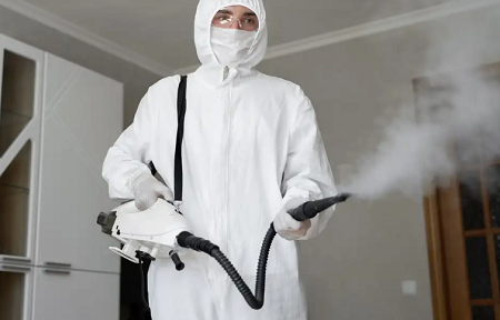 Mould-Removal-Toronto
