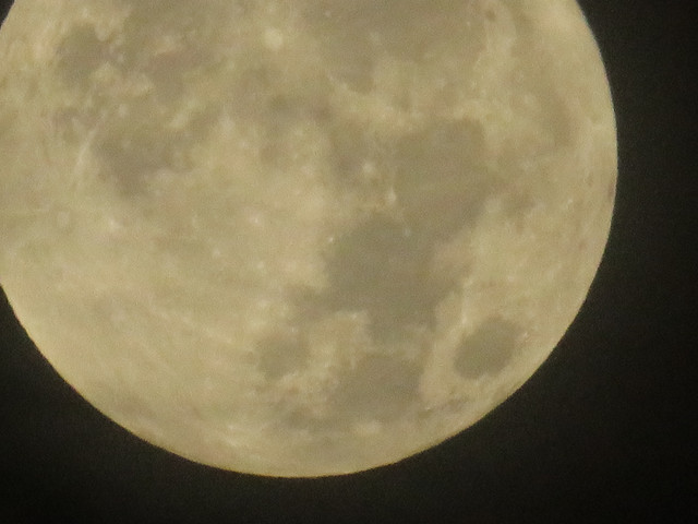 moon-017.jpg