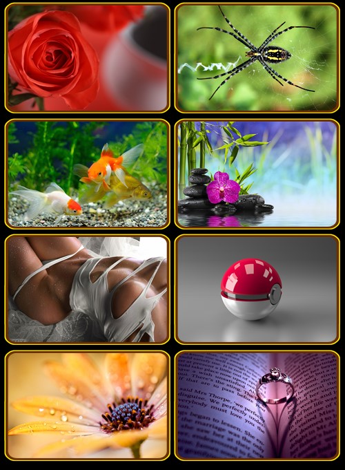 Super mix wallpapers - 560