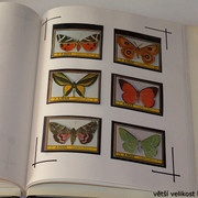 IMG-3978