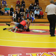 IMG-0049