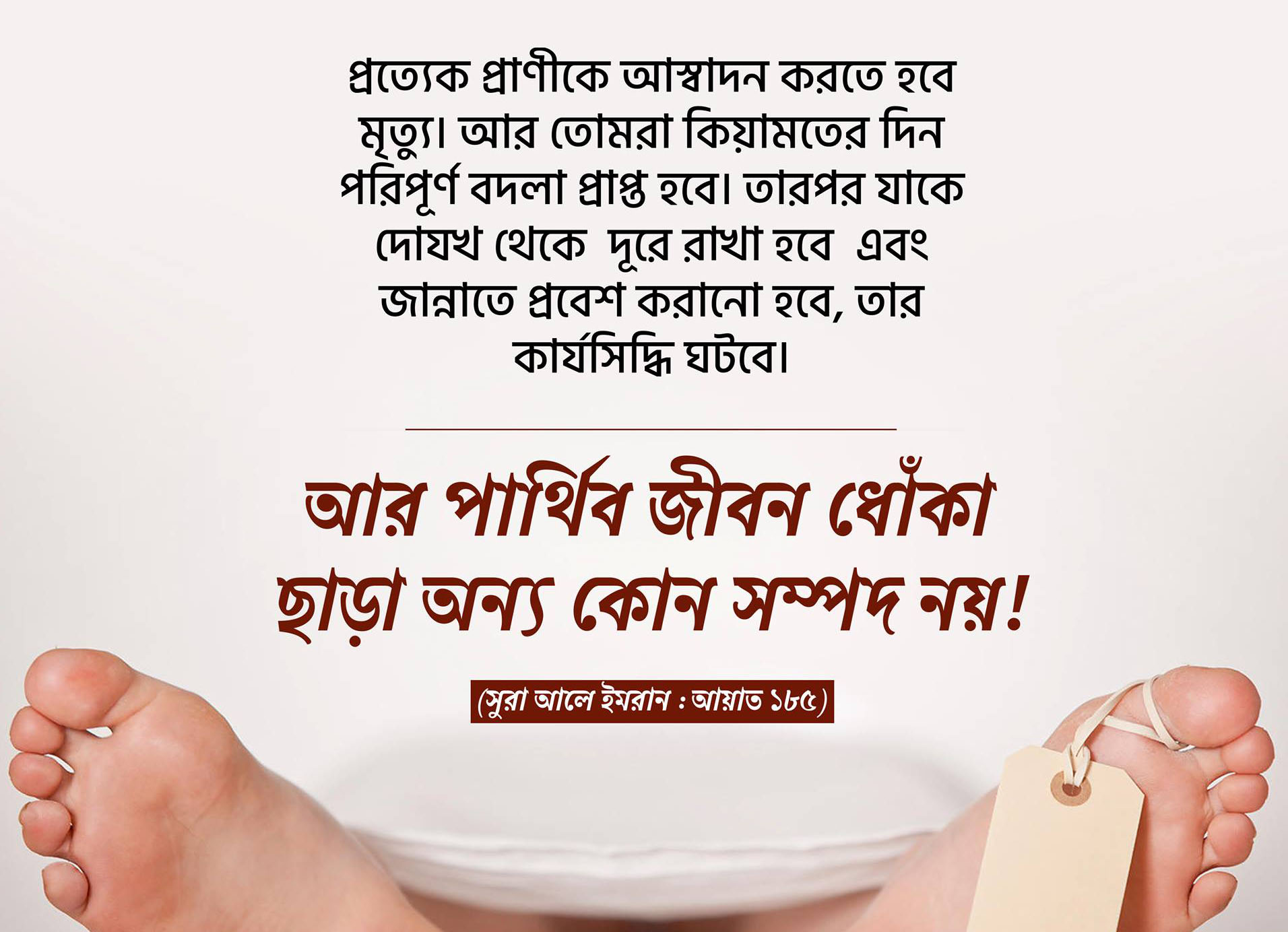 জীবন, দুনিয়া, মৃত্যু