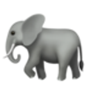 elephant-1f418