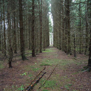 DSC00320