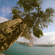 OLYMPUS-DIGITAL-CAMERA